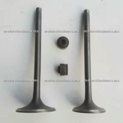 Valvulas Veloci Xeverus 250 - Italika DM250 - DM250X - Par