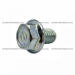 Tornillo Drenado y Llenado M8x12 Tapa de Transmisión Motonetas Italika - Vento - Dinamo - Carabela