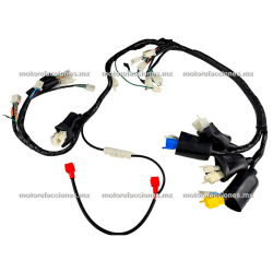 Arnes Completo - Vento Alpina 300 - CDI tipo DC