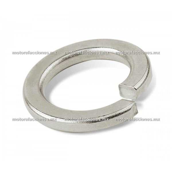 Rondana de Presion 10mm Universal