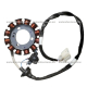 Estator DC 12 Bobinas Yamaha Ray Z 113