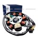 Estator ITALIKA 8 Bobinas Italika DS125 - DS150 - WS150 - GS150 - GTS175 - WS175 - CS125 - XS125