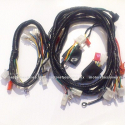 Arnes Completo - Italika GS150 - GTS175 - GSC150 - GSC175 - Vento Phantom 9i - Estator Monofasico