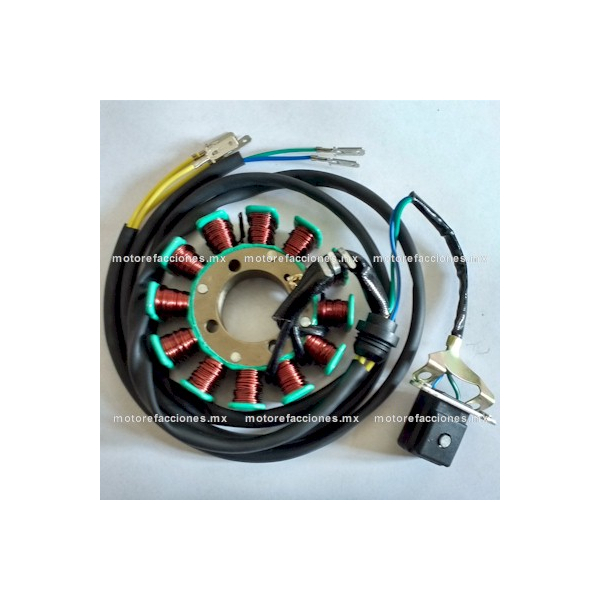 Estator 12 bobinas DC Italika EX200 - RT200 - RT200 GP