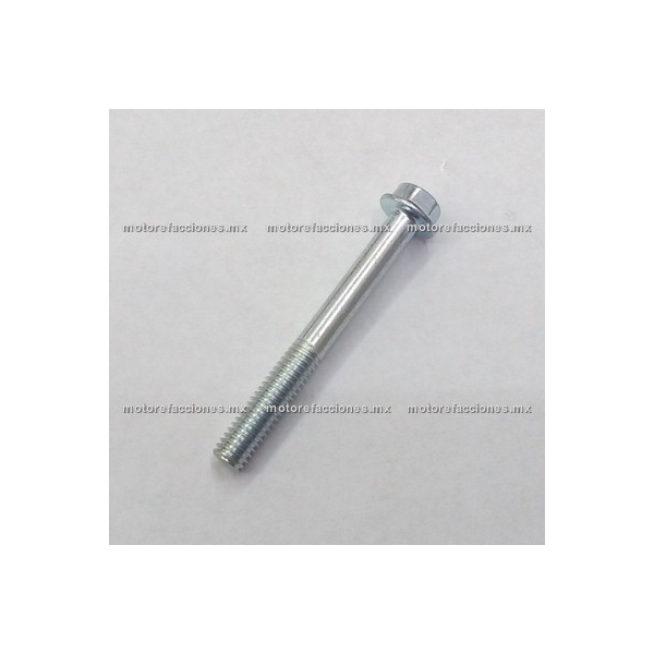 Tornillo Hexagonal 6x50